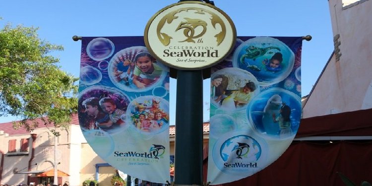 Happy 50th Anniversary SeaWorld!