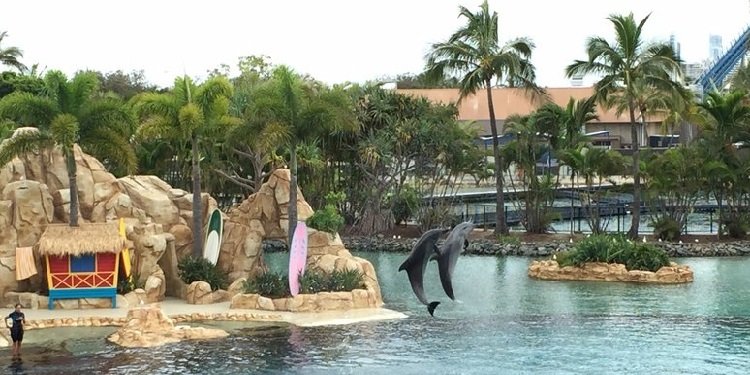 Sea World in Australia!