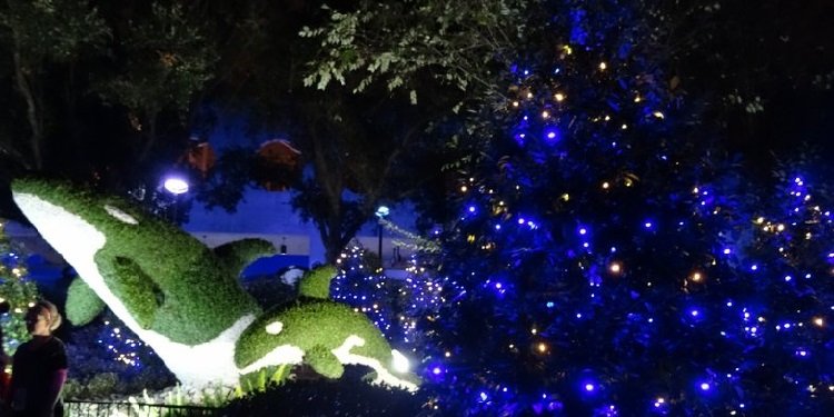 Christmas at SeaWorld San Diego!