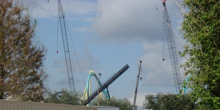 Update on SeaWorld's Mako!