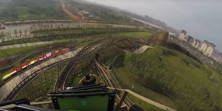 POV Video of Python in Bamboo Forest!