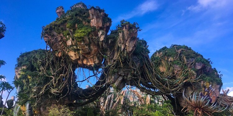 Media Sneak Peek at Pandora!