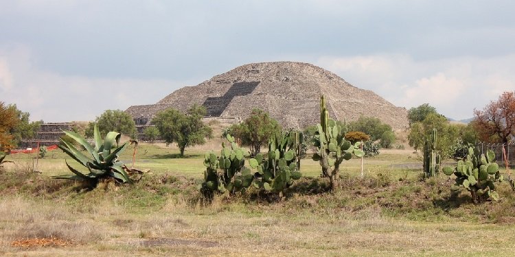 Andy's Mexico Trip Report: Culture Day!