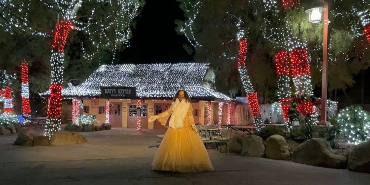 Holiday at the Park at Magic Mountain!