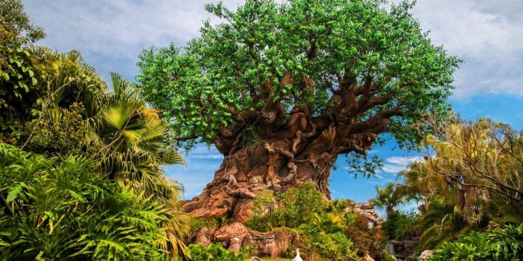 Celebrate Earth Week at Disney's Animal Kingdom!