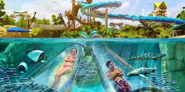 Enhancements on Tap for SeaWorld's Aquatica!