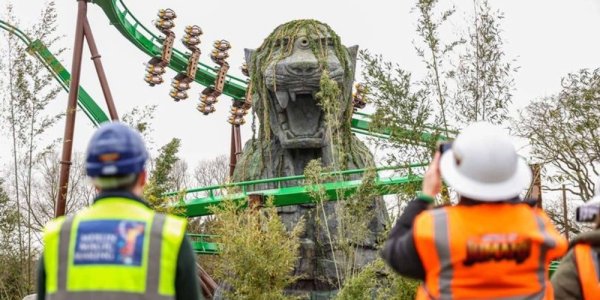 Update on Mandrill Mayhem at Chessington World of Adventure!